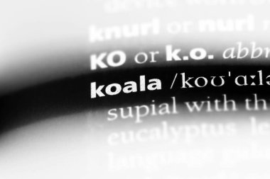 Koala Word'de bir sözlük. Koala kavramı.