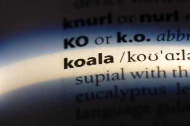Koala Word'de bir sözlük. Koala kavramı.