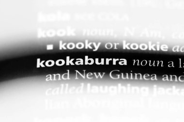 ahmak Word'de bir sözlük. ahmak kavramı.