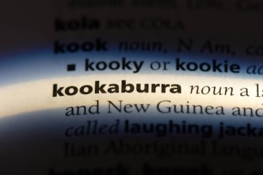 ahmak Word'de bir sözlük. ahmak kavramı.