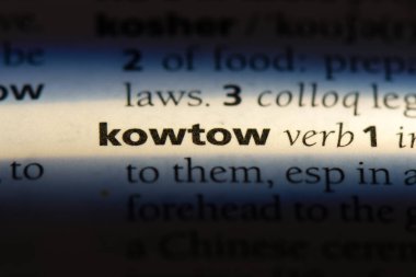 kowtow sözcük sözlüğe. kowtow kavramı.