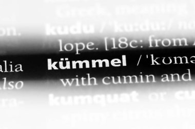 bir sözlük kummel kelimesi. kummel kavramı.