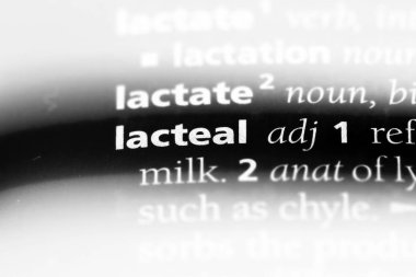 lacteal tek kelimeyle bir sözlük. lacteal kavramı.