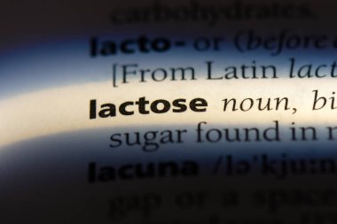 laktoz Word'de bir sözlük. laktoz kavramı.