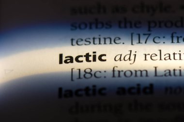 bir sözlüğü'ndeki laktik sözcüğü. laktik kavramı.