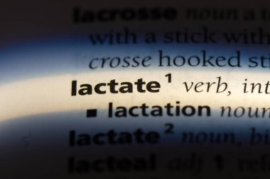 laktat Word'de bir sözlük. laktat kavramı.