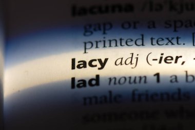 Dantelli tek kelimeyle bir sözlük. Dantelli kavramı.