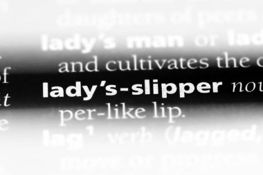 Bayan Terlik sözcük sözlüğe. Bayan Terlik kavramı.