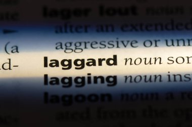 laggerd sözcük sözlüğe. laggerd kavramı.