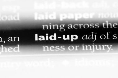 sözcüğü sözlüğe koydu. kavram koydu.