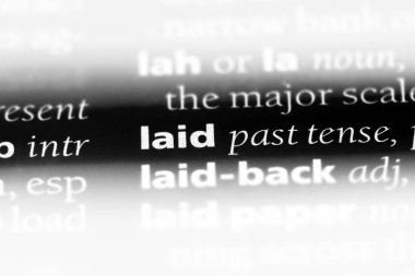 bir sözlüğü'ndeki koydu sözcüğü. koydu kavramı.