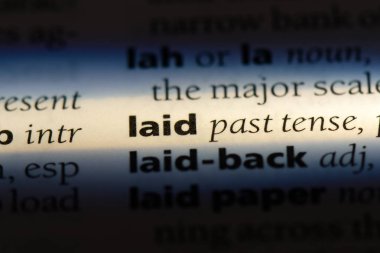 bir sözlüğü'ndeki koydu sözcüğü. koydu kavramı.