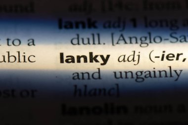 sırık gibi tek kelimeyle bir sözlük. sırık gibi kavramı.