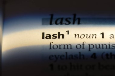 sözcük sözlükte kirpik. kirpik kavramı.