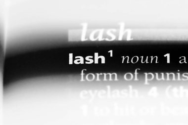 sözcük sözlükte kirpik. kirpik kavramı.