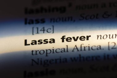 Lassa ateşi Word'de bir sözlük. Lassa ateşi kavramı.