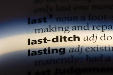 Son sözcük sözlüğe hendek. Son kavram hendek.