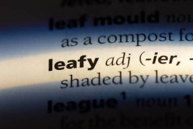 bir sözlüğü'ndeki yapraklı sözcüğü. yapraklı kavramı.