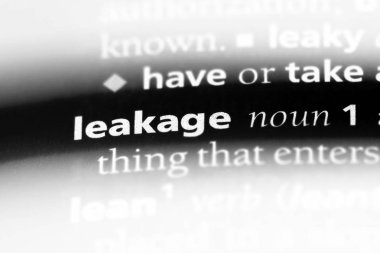 sızıntı Word'de bir sözlük. sızıntı kavramı.