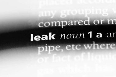 Sözlükteki bilgi sızdıran. sızıntı kavramı.