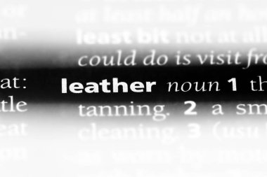 deri Word'de bir sözlük. deri kavramı.