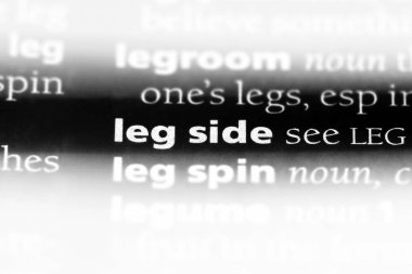 bacak yan sözcük sözlüğe. bacak yan kavramı.