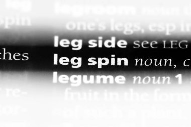 bacak spin bir sözlük tek kelimeyle. bacak spin kavramı.