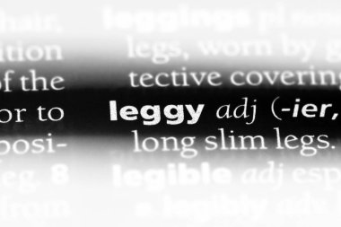 uzun bacaklı tek kelimeyle bir sözlük. uzun bacaklı kavramı.