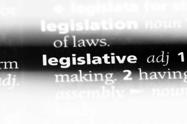 bir sözlük yasama Word'de. yasama kavramı.