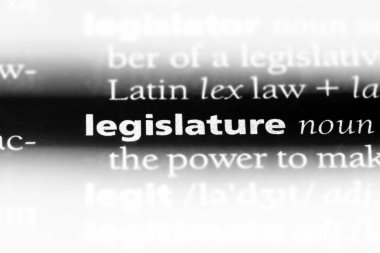 yasama Word'de bir sözlük. yasama organı kavramı.