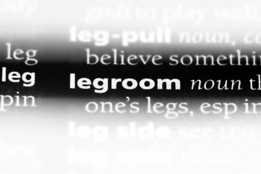 koyacak sözlük tek kelimeyle. legroom kavramı.