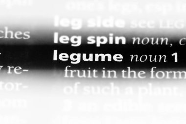 Baklagil Word'de bir sözlük. Baklagil kavramı.