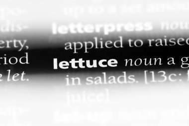 marul Word'de bir sözlük. marul kavramı.