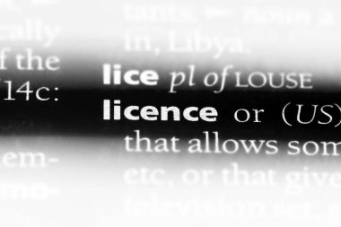 bir sözlüğü'ndeki lisans sözcüğü. ruhsat kavramı.