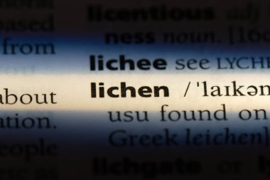 liken Word'de bir sözlük. liken kavramı.