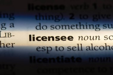 Lisans Alan Word'de bir sözlük. lisans alan kavramı.