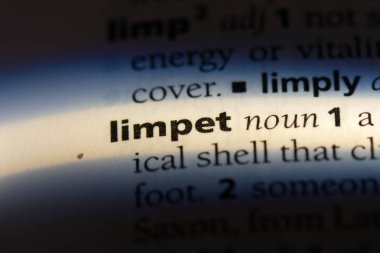 vantuzlu Word'de bir sözlük. vantuzlu kavramı.