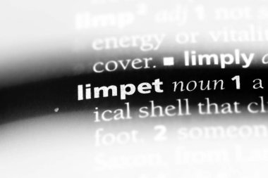 vantuzlu Word'de bir sözlük. vantuzlu kavramı.