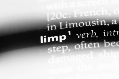 gevşek tek kelimeyle bir sözlük. gevşek kavramı.