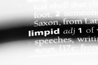 berrak tek kelimeyle bir sözlük. berrak kavramı.