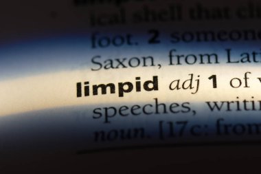 berrak tek kelimeyle bir sözlük. berrak kavramı.