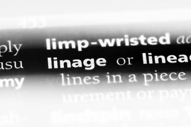 hiza Word'de bir sözlük. hiza kavramı.