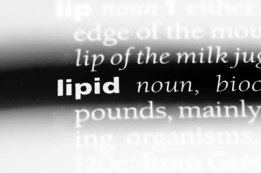 lipid Word'de bir sözlük. lipid kavramı.
