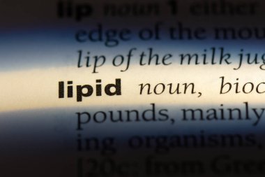lipid Word'de bir sözlük. lipid kavramı.