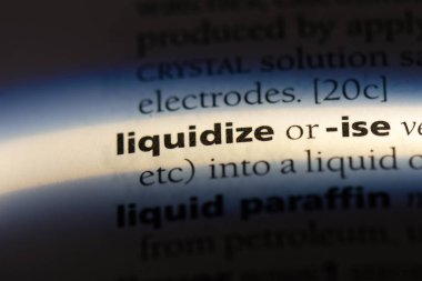 bir sözlüğü'ndeki sözcüğü liquidize. kavram liquidize.