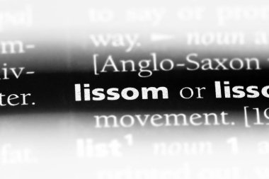 lissom tek kelimeyle bir sözlük. lissom kavramı.