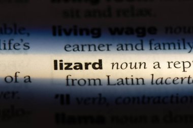 kertenkele Word'de bir sözlük. kertenkele kavramı.