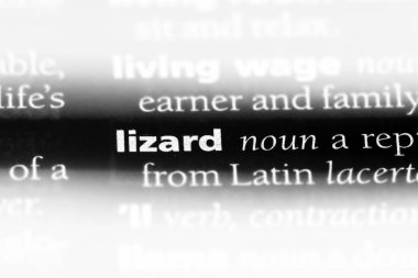 kertenkele Word'de bir sözlük. kertenkele kavramı.