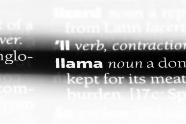 Lama kelimeyle bir sözlük. Lama kavramı.