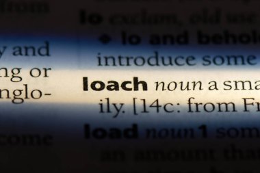 Loach Word'de bir sözlük. Loach kavramı.